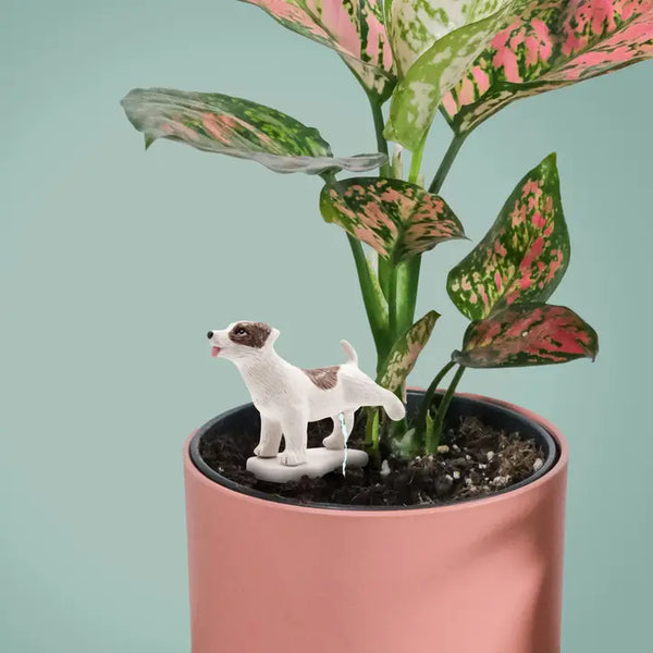 Pee My Plants Dog Watering Decoration